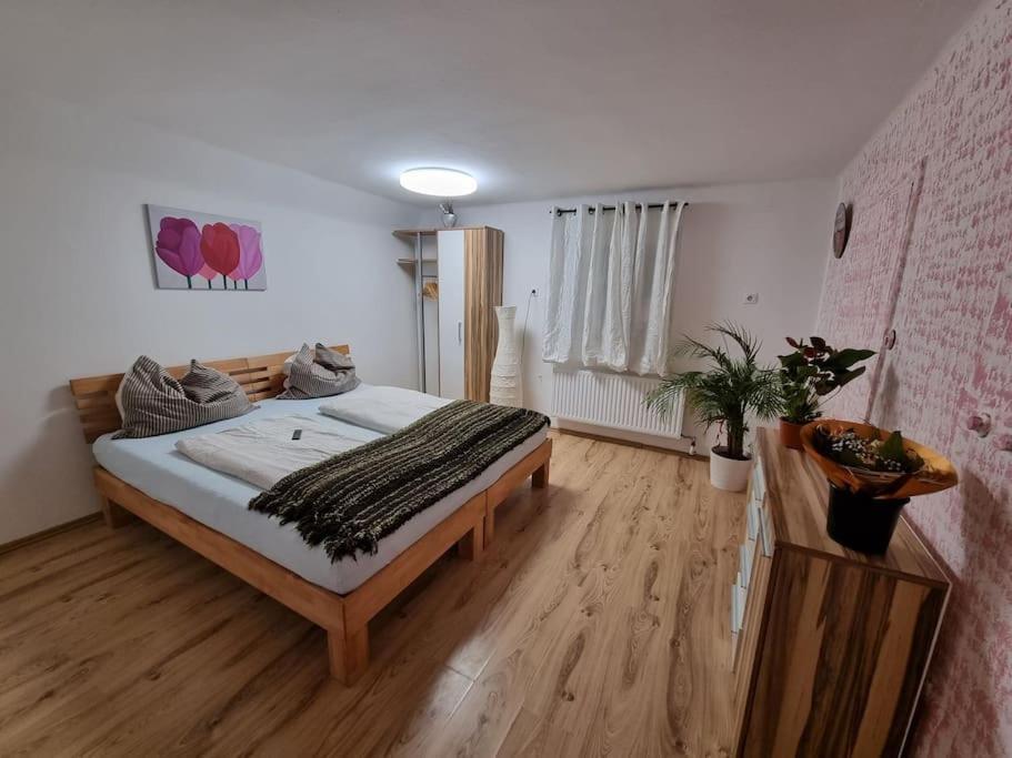 GuggenthalSalzburg Living公寓 外观 照片